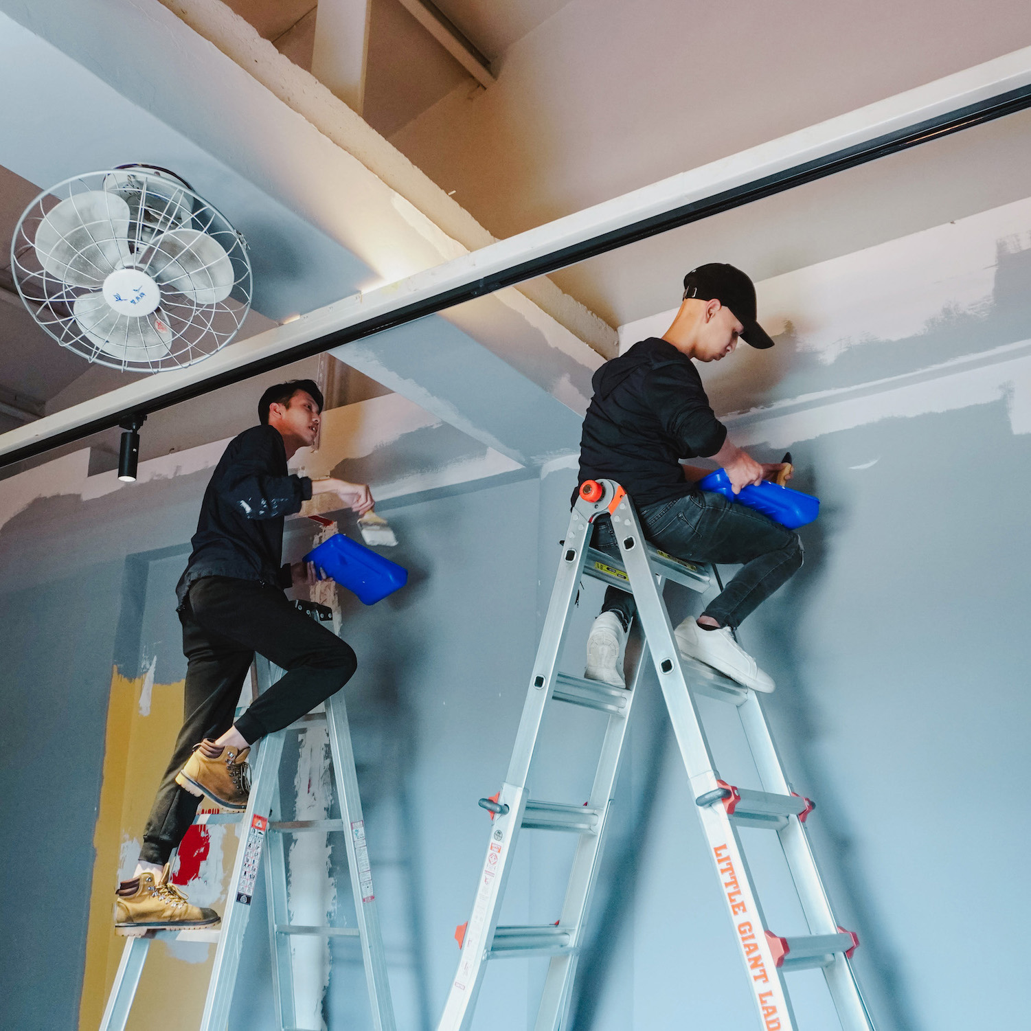 2024Dulux 得利塗料 趨勢色 「瑰蜜粉」行銷宣傳操作