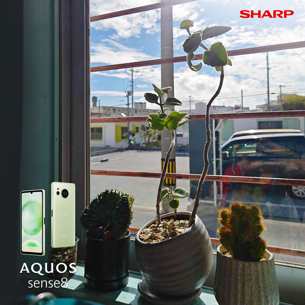 AQUOS sense8｜發現沖繩篇：陽光曬落窗邊